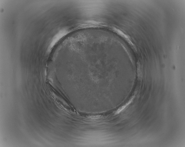 X0000072961453200608041141