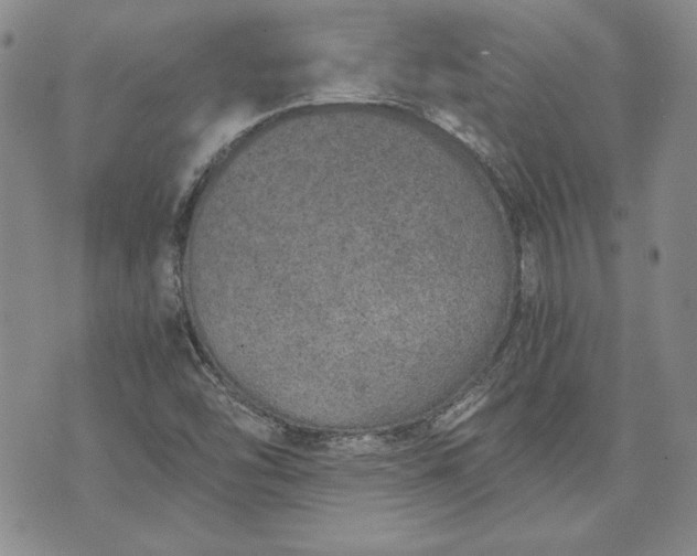 X0000072961454200608041141