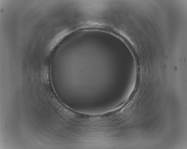 X0000072961455200608041141