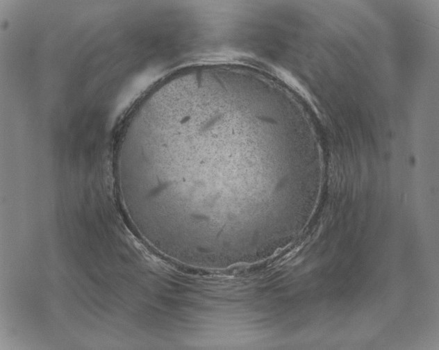 X0000072961456200608041141