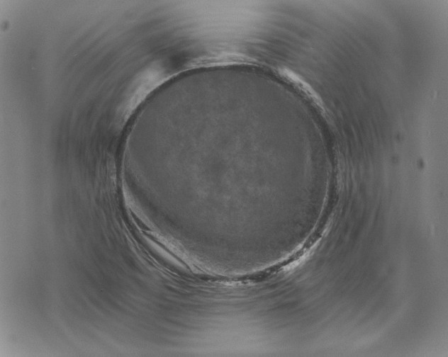 X0000072961457200608041141