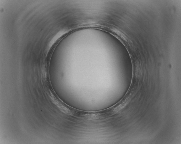 X0000072961458200608041141