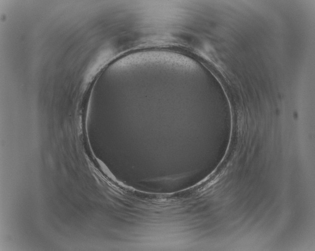 X0000072961459200608041141