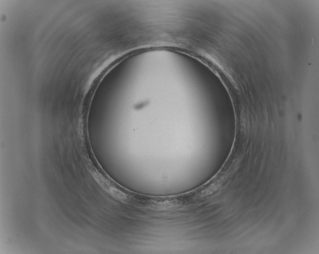 X0000072961460200608041141