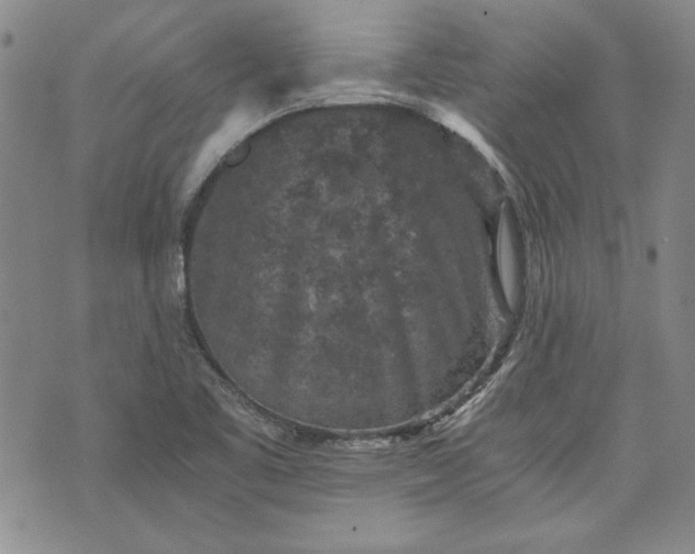 X0000072961461200608041140