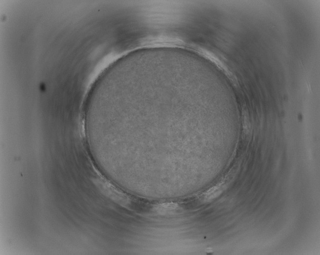 X0000072961462200608041140