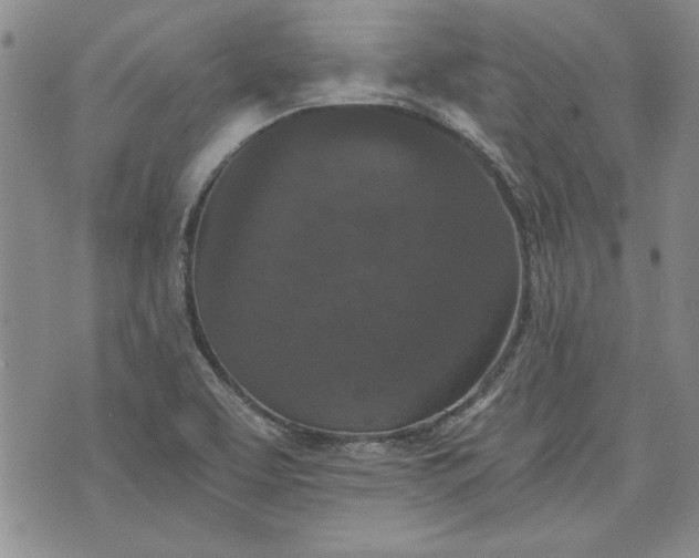 X0000072961463200608041140