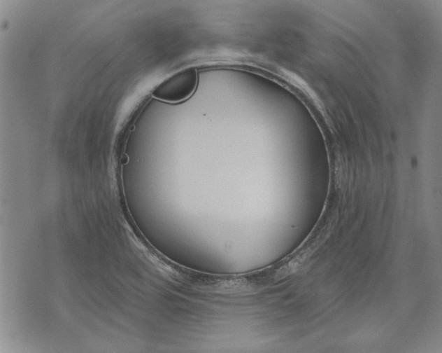 X0000072961464200608041140