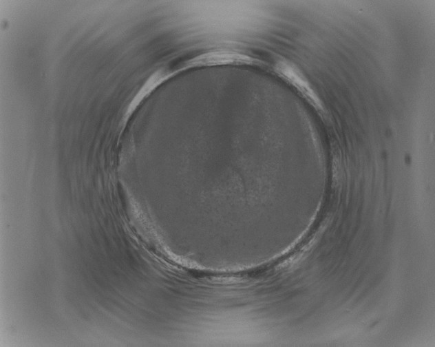 X0000072961465200608041140