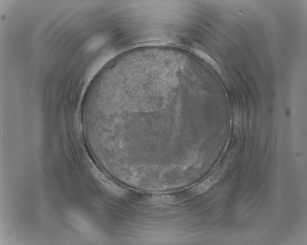 X0000072961466200608041140