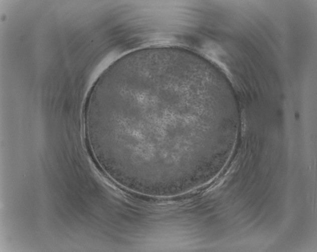 X0000072961467200608041140