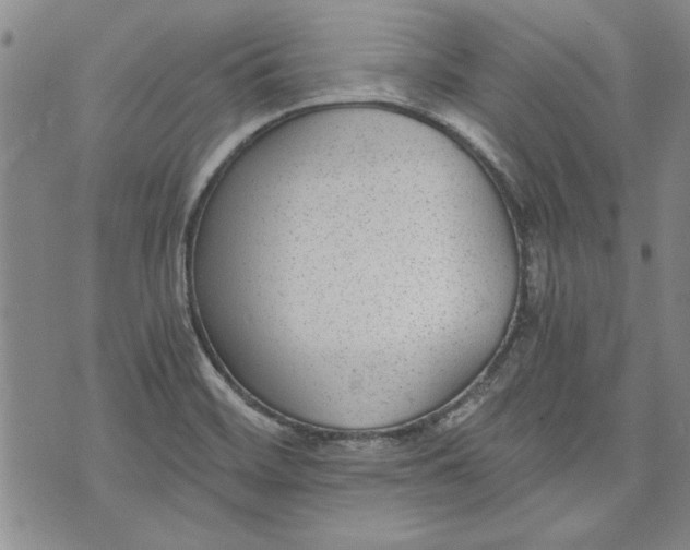 X0000072961468200608041140