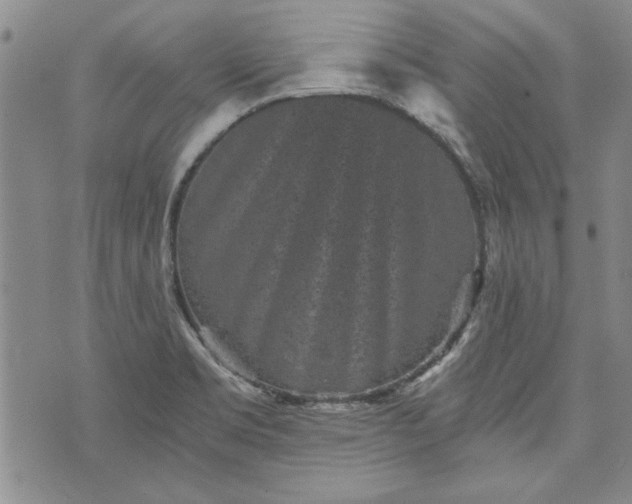 X0000072961469200608041140