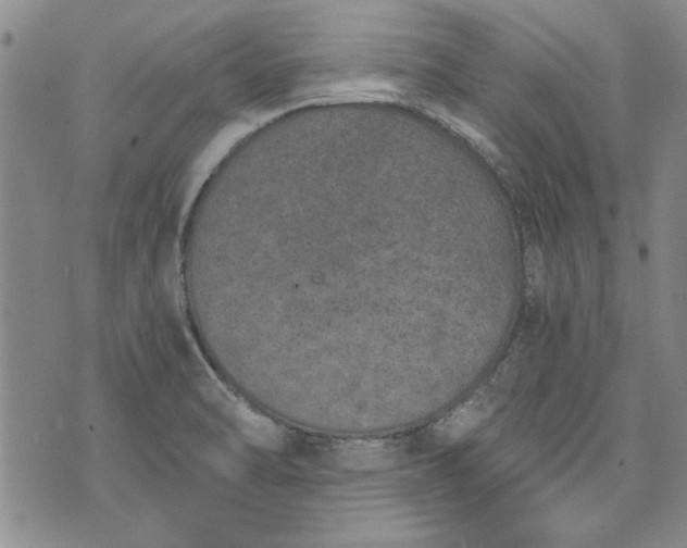 X0000072961470200608041140