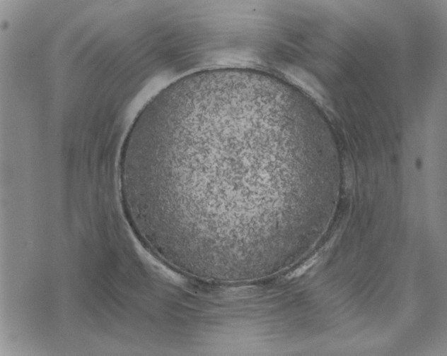 X0000072961471200608041140