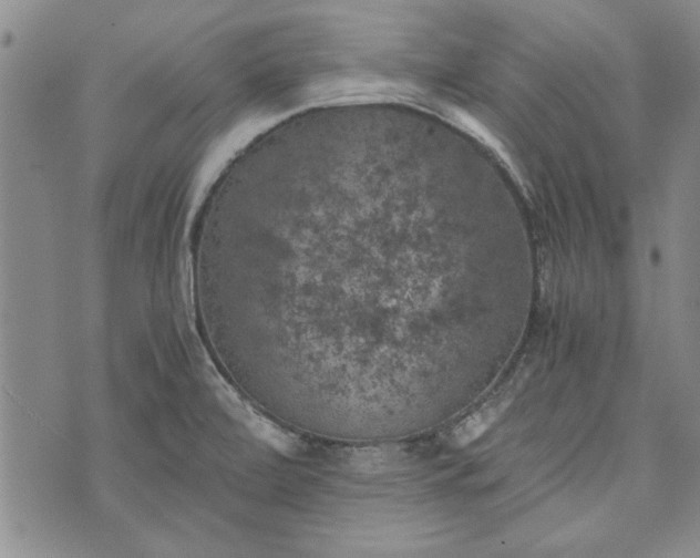 X0000072961472200608041140