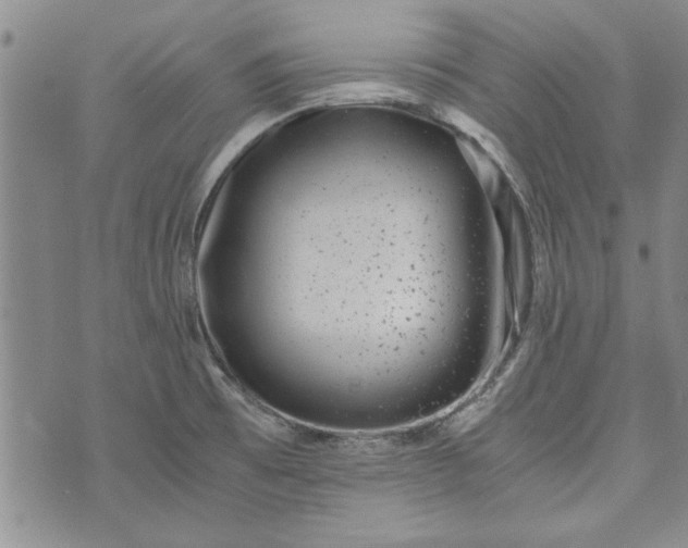 X0000072961473200608041140