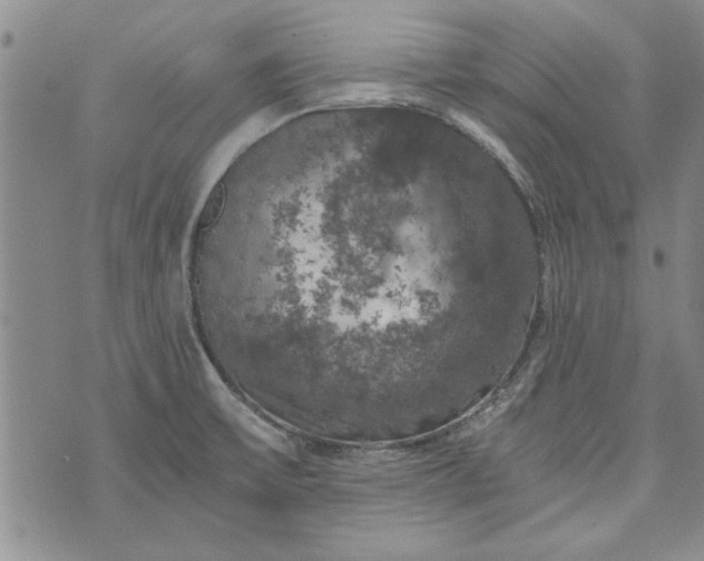 X0000072961475200608041140