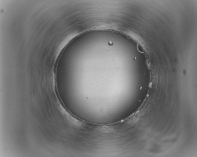 X0000072961476200608041140