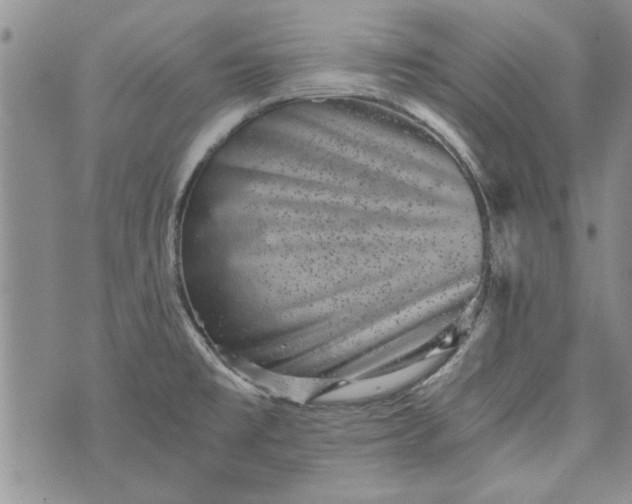 X0000072961477200608041140