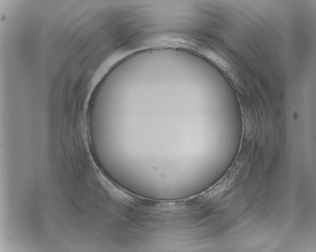 X0000072961478200608041140