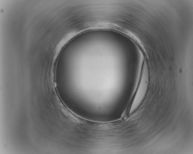 X0000072961480200608041140