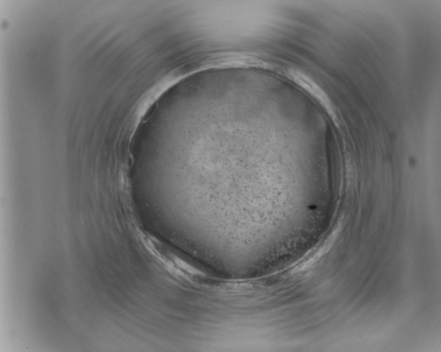 X0000072961481200608041140