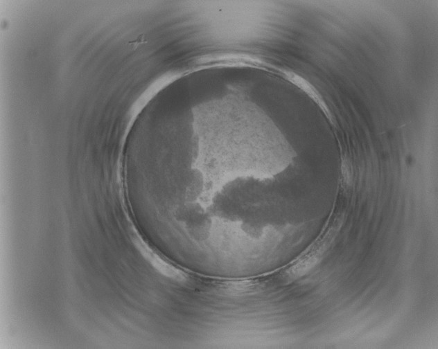 X0000072961482200608041140