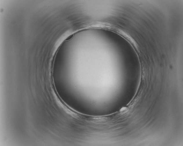 X0000072961483200608041140