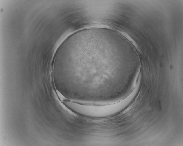 X0000072961484200608041140