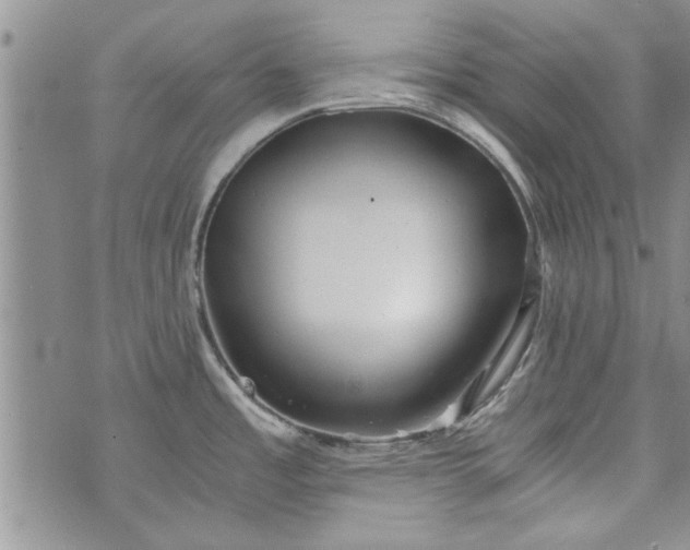 X0000072961485200608041140