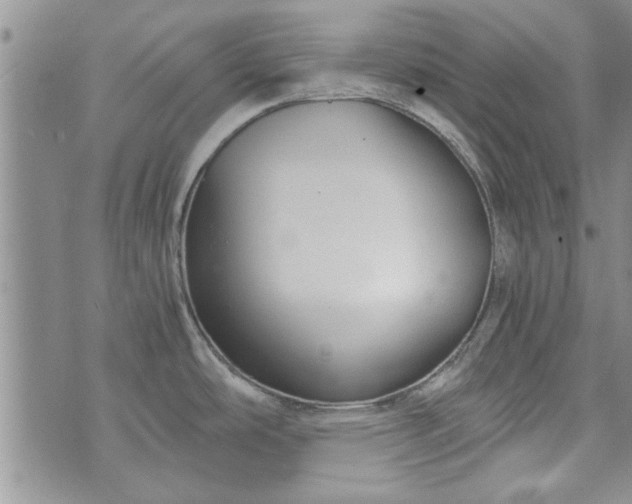 X0000072961486200608041140