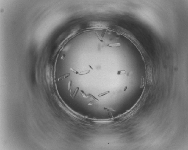 X0000072961487200608041140