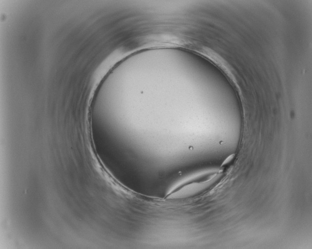 X0000072961488200608041140