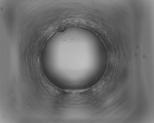 X0000072961489200608041139