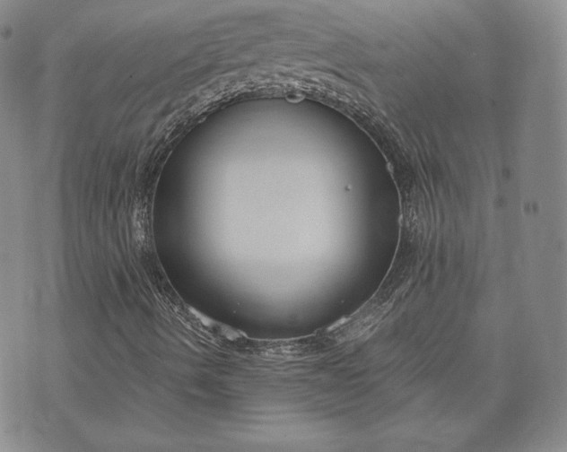 X0000072961490200608041139