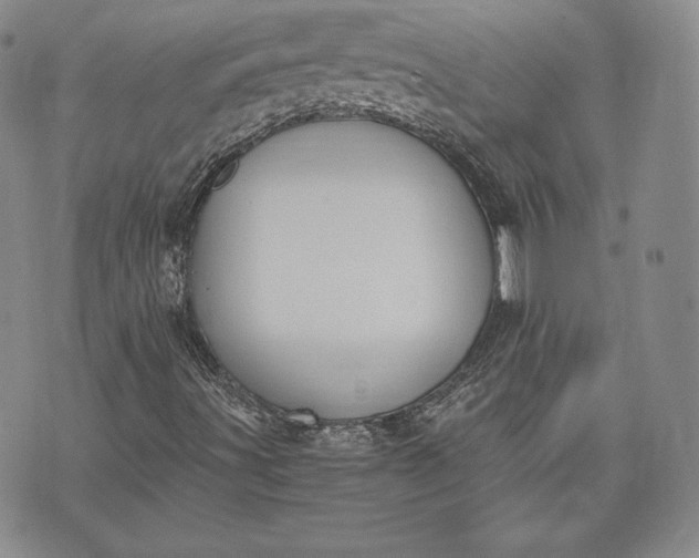 X0000072961491200608041139