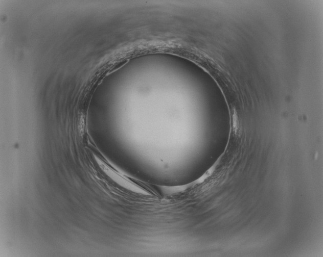 X0000072961492200608041139