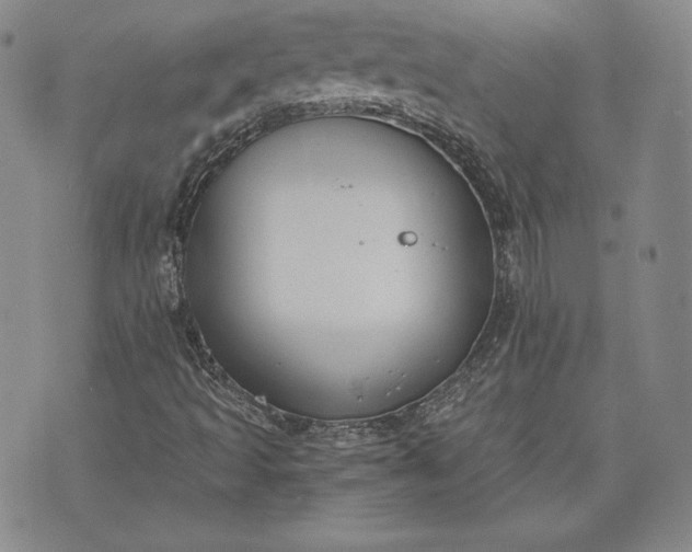 X0000072961493200608041139