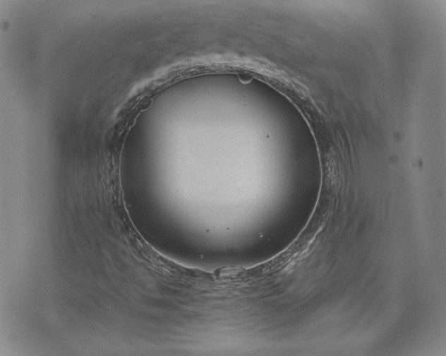 X0000072961494200608041139