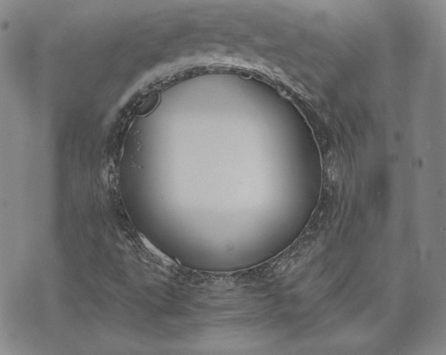 X0000072961495200608041139