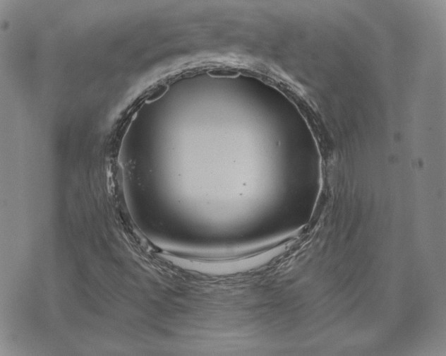 X0000072961496200608041139