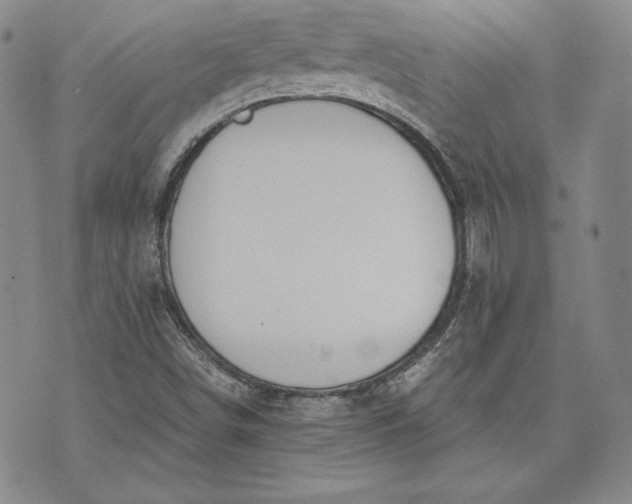 X0000072961498200608041139