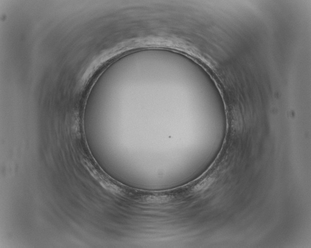 X0000072961499200608041139