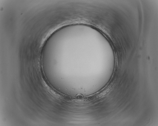 X0000072961500200608041139