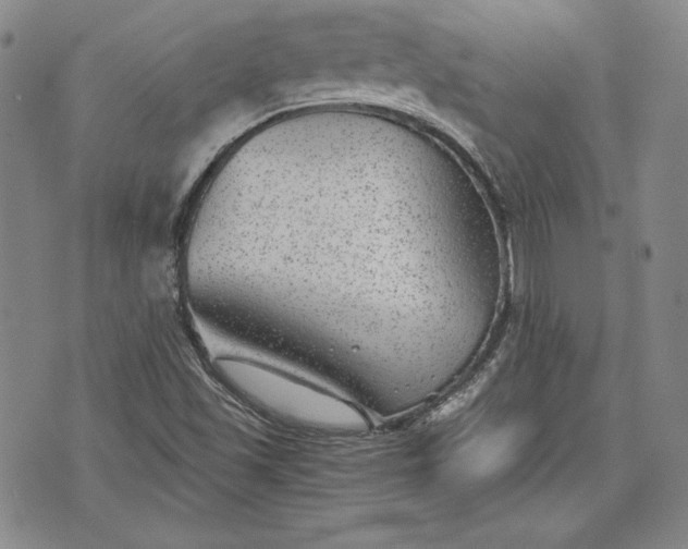 X0000072961501200608041139