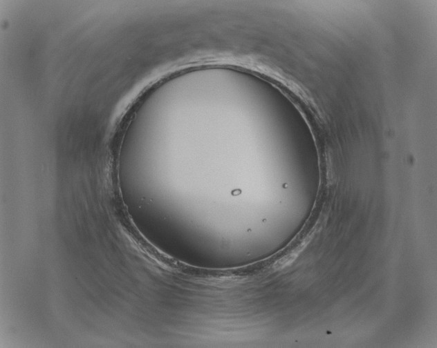 X0000072961502200608041139