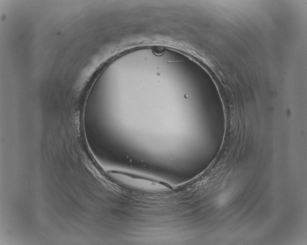 X0000072961503200608041139