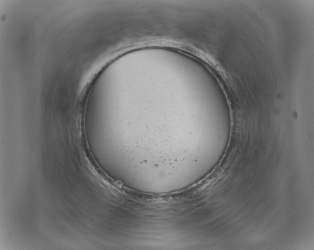 X0000072961504200608041140