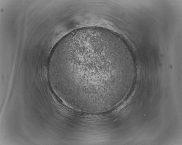 X0000072961505200608041140